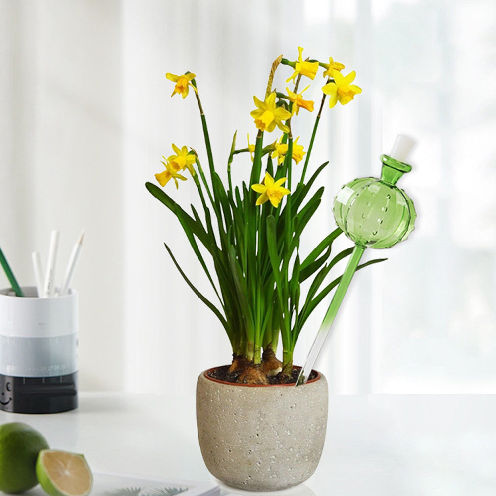 Automatic Plant Waterer - Arroseur automatique à aiguilles pour plantes