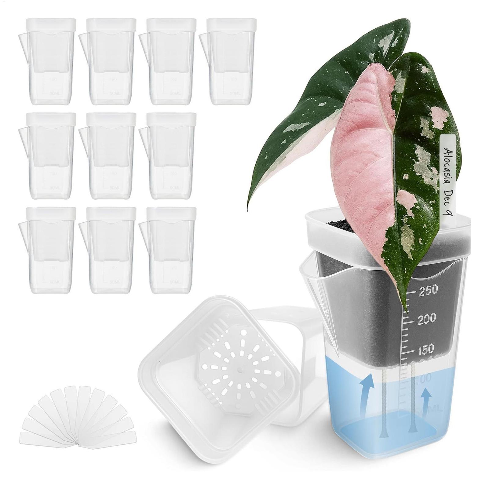 10 pots de plantes d'intérieur - Self-Watering Planter avis et prix