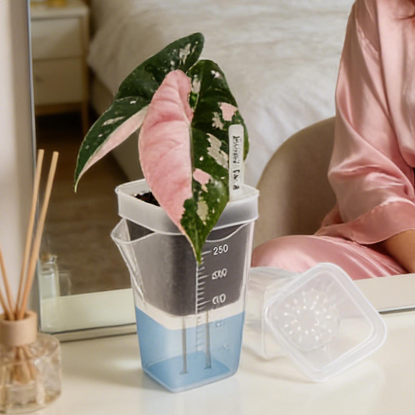 10 pots de plantes d'intérieur - Self-Watering Planter avis et prix