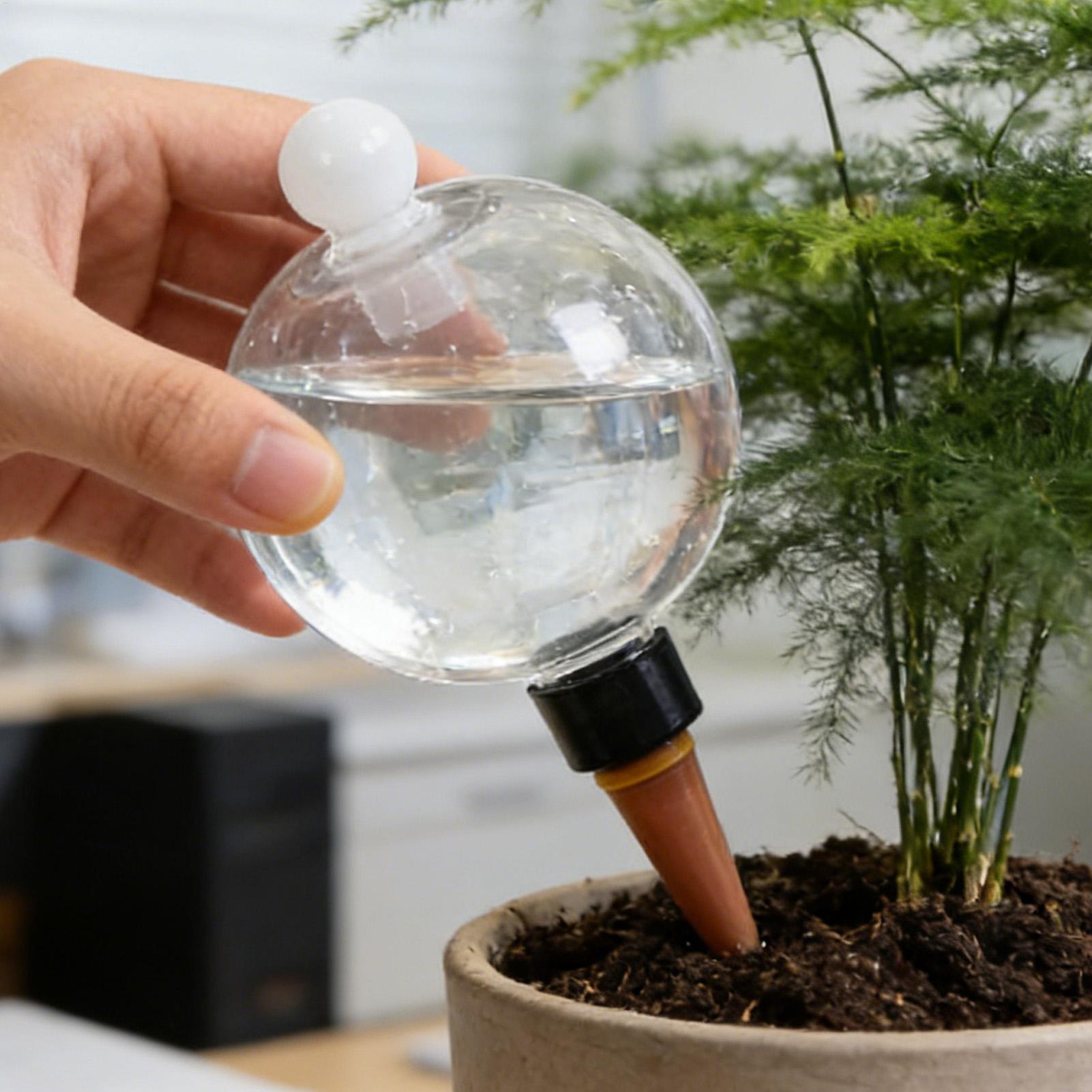 Bulbes d'arrosage automatiques - Automatic Plant Waterer avis et prix