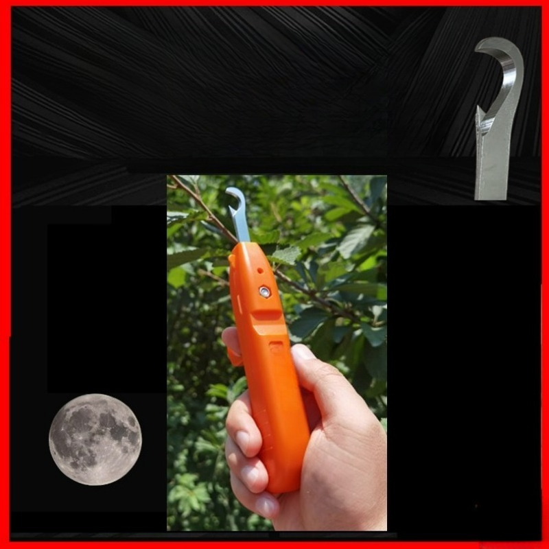 Ciseaux de cueillette de fruit - Gardening Tools Vegetables avis et prix