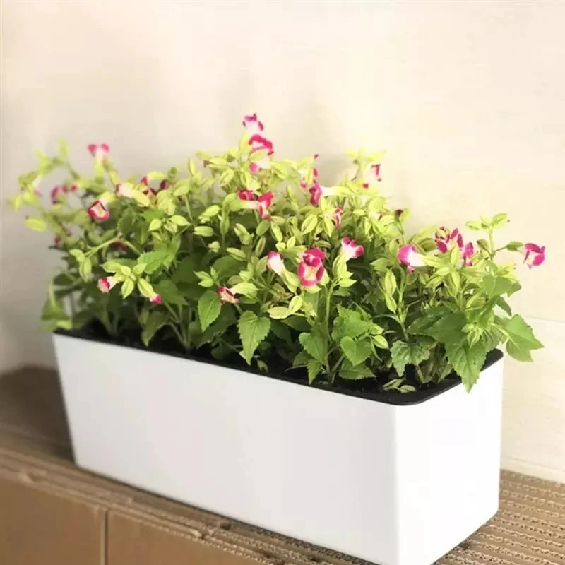 Pot de fleur rectangulaire par - Automatic Plant Waterer avis et prix