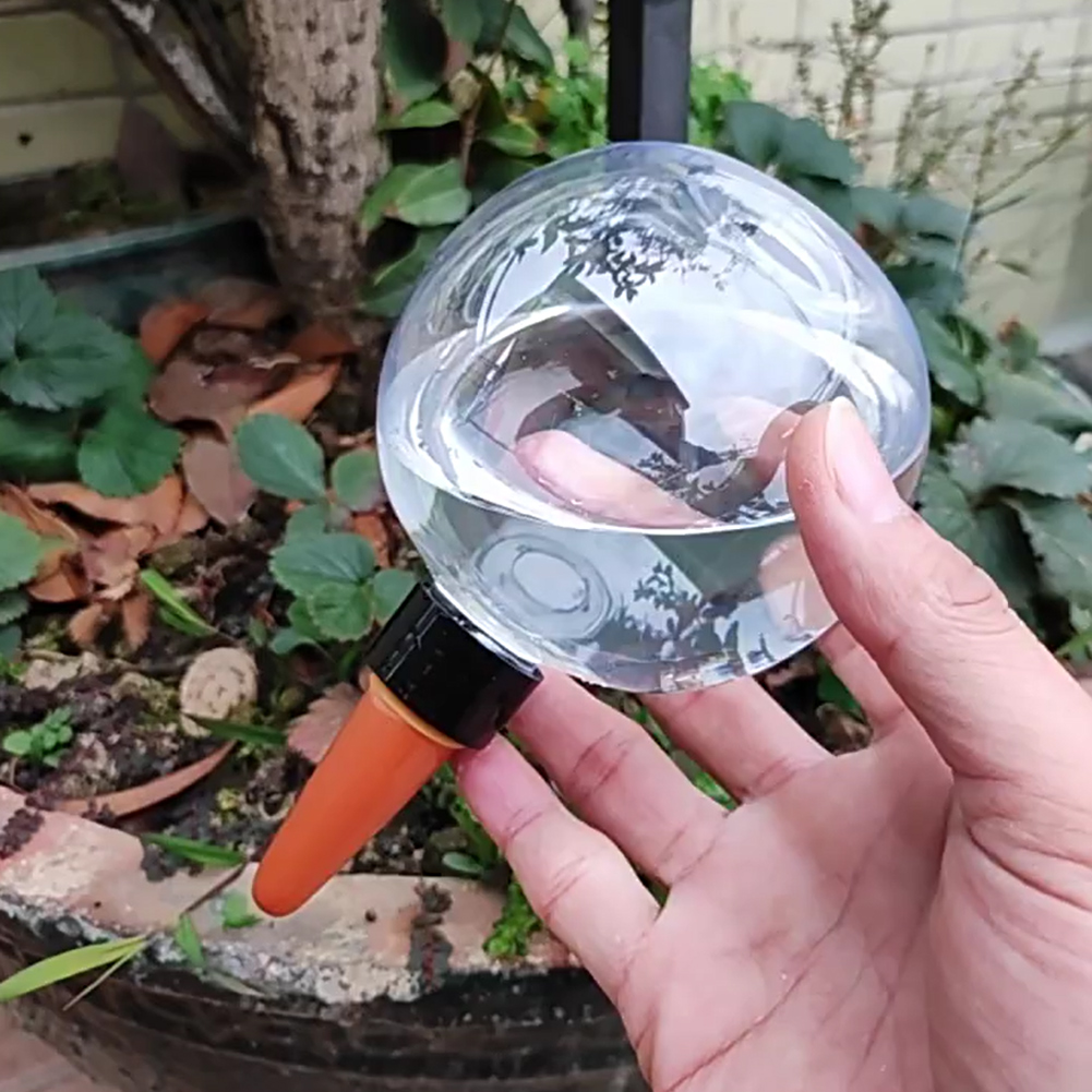 Globes d'arrosage automatique  - Self-Watering Planter avis et prix