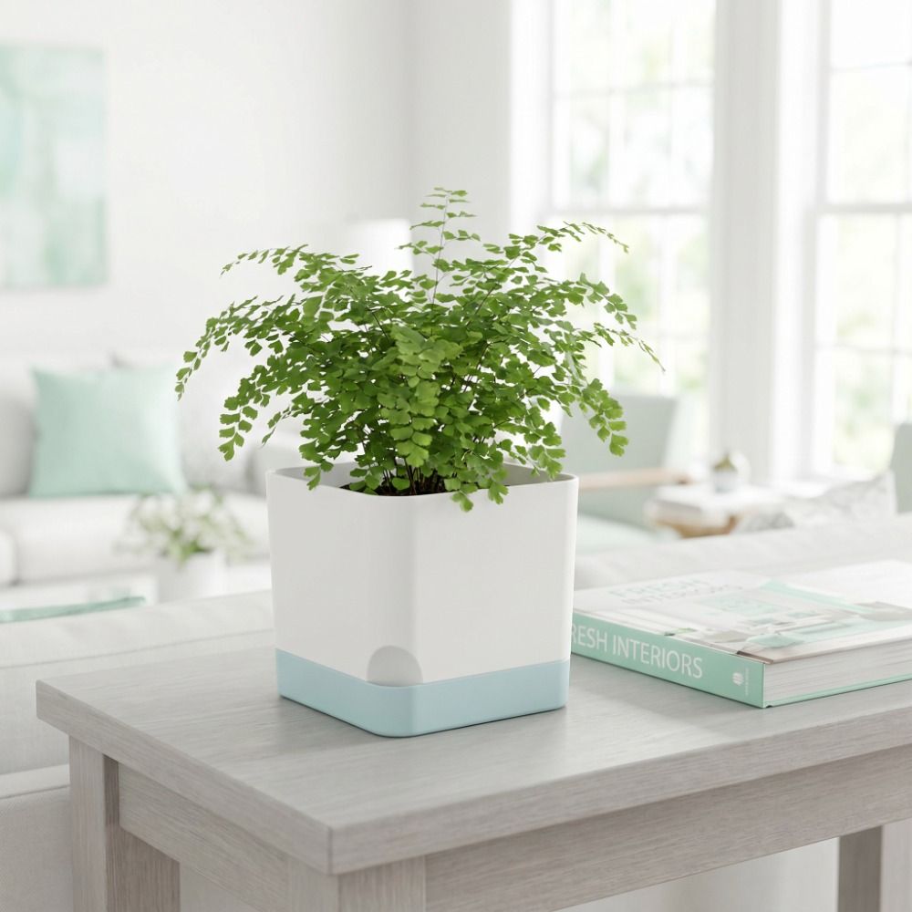 Pots de fleurs auto-arrosants  - Self-Watering Planter avis et prix