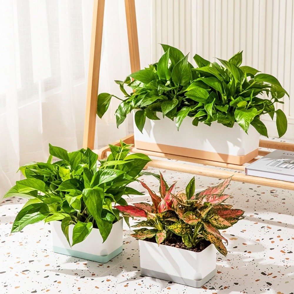 Pots de fleurs auto-arrosants  - Self-Watering Planter avis et prix